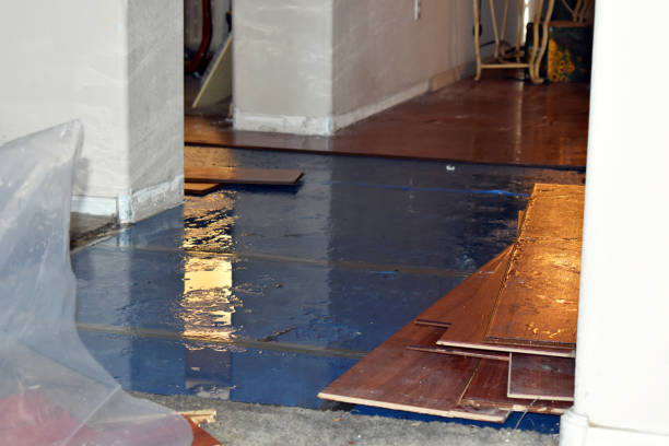 Professional Water Extraction technician working in Larue, TX